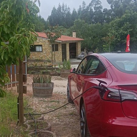 Quintinha Do Casal Ruivo Villa Figueiro Dos Vinhos Luaran gambar