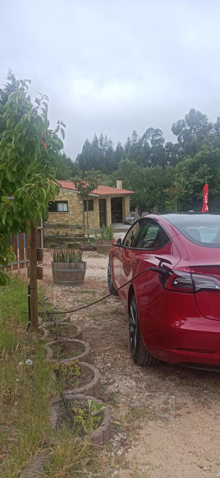 Quintinha Do Casal Ruivo Villa Figueiro Dos Vinhos Luaran gambar