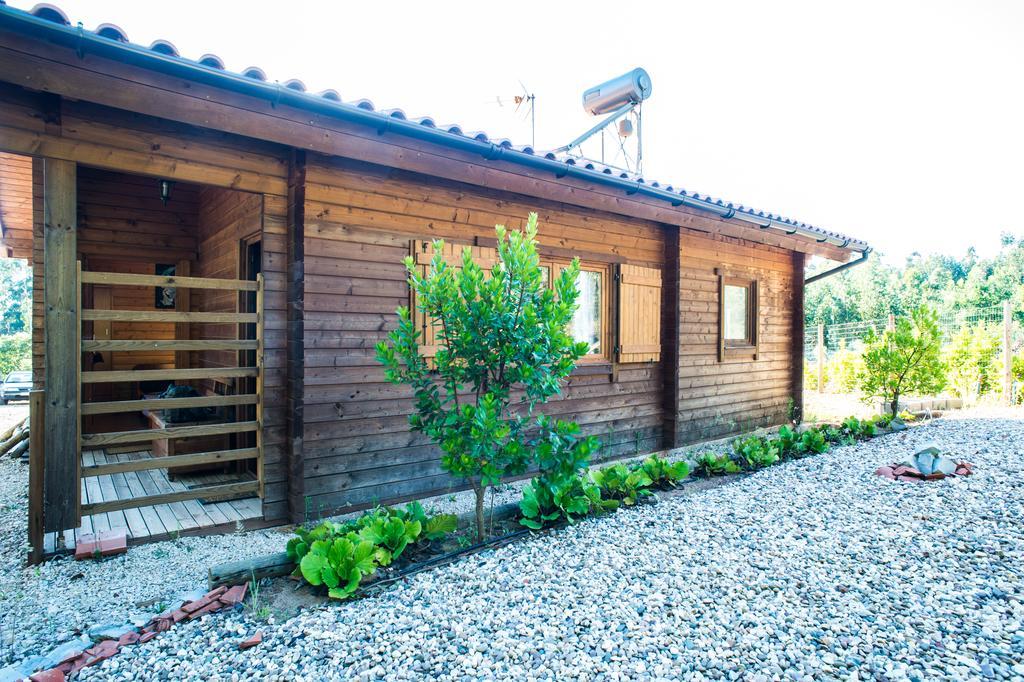 Quintinha Do Casal Ruivo Villa Figueiro Dos Vinhos Luaran gambar