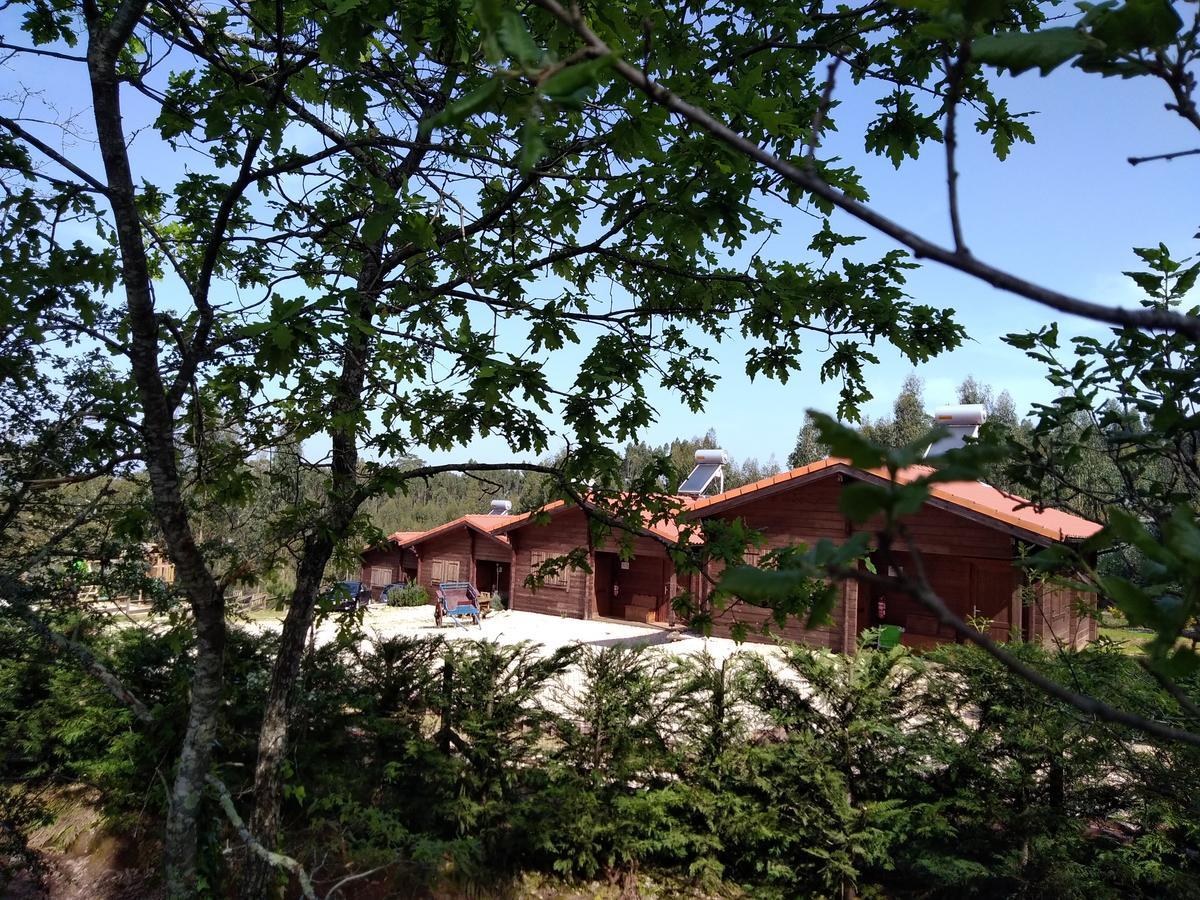 Quintinha Do Casal Ruivo Villa Figueiro Dos Vinhos Luaran gambar